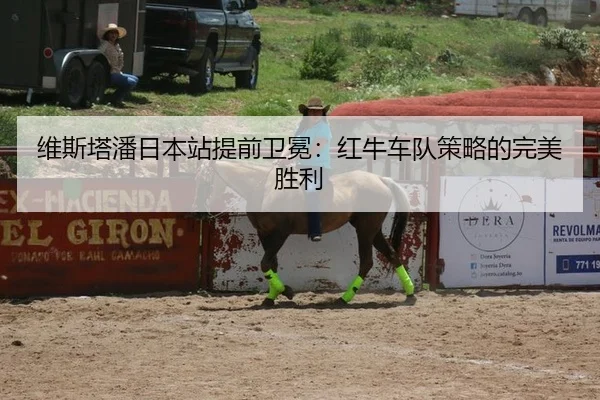 维斯塔潘日本站提前卫冕：红牛车队策略的完美胜利